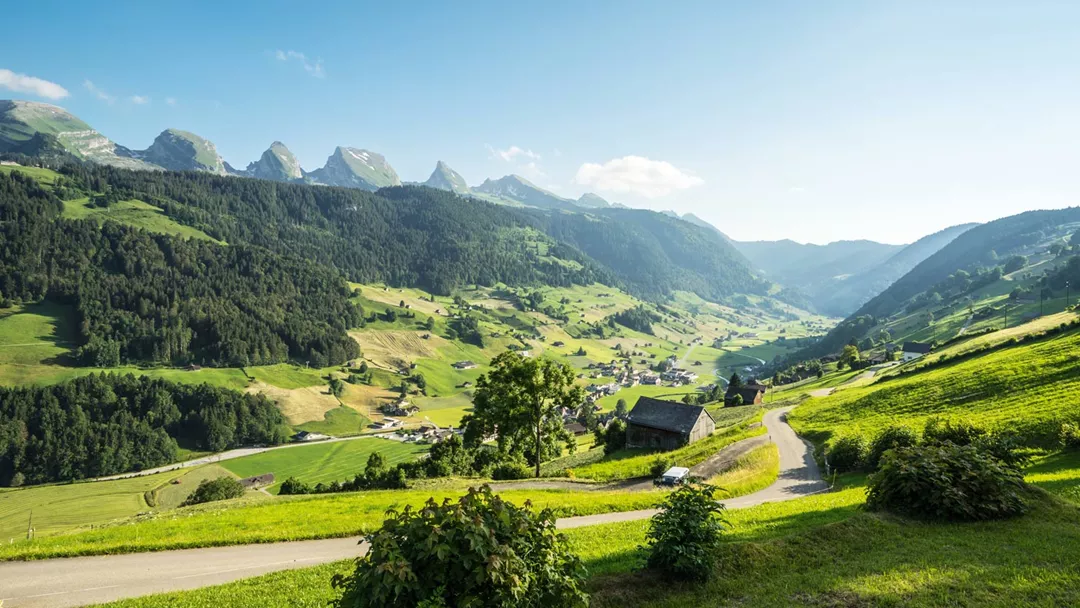 Stgallen Stgallen