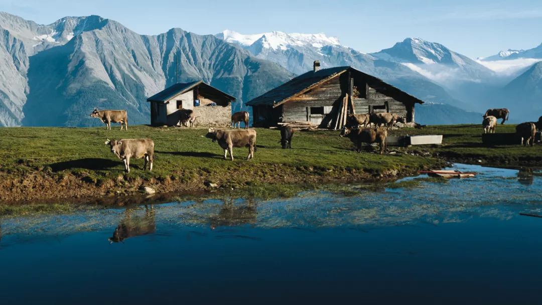 Riederalp Riederalp