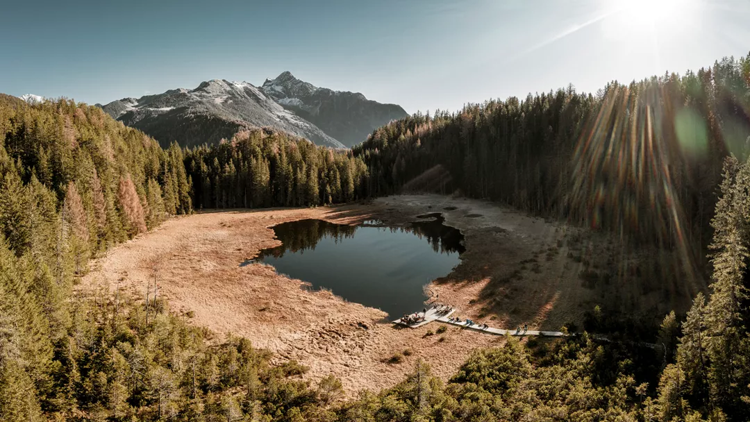 Brandsee Brandsee