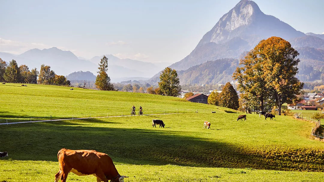 Kufsteinerland Vakantie Kufsteinerland Vakantie