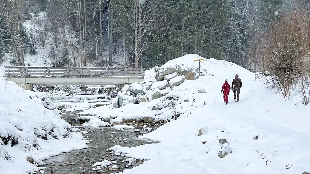 Winter Wandelen Winter Wandelen