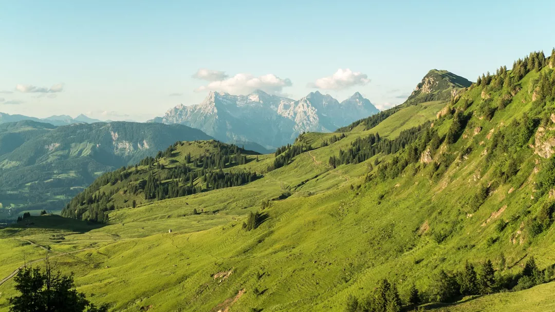 Kitzbuheler Alpen Landschap Kitzbuheler Alpen Landschap