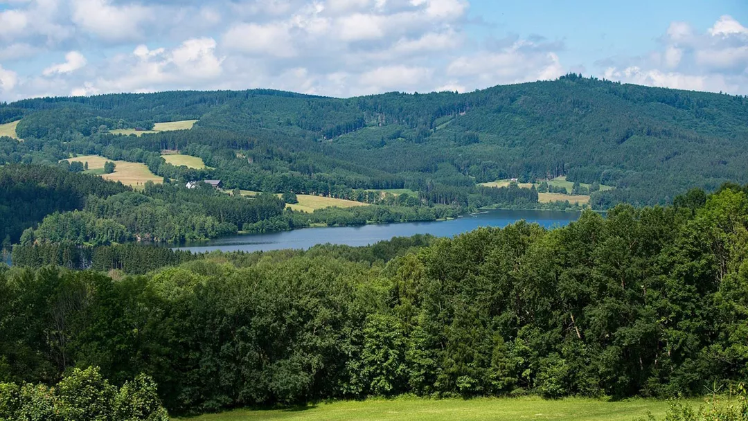 Boheemsewoud Boheemsewoud