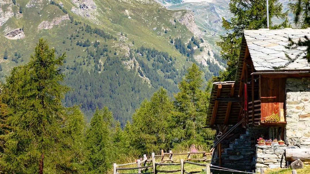 Champoluc Champoluc