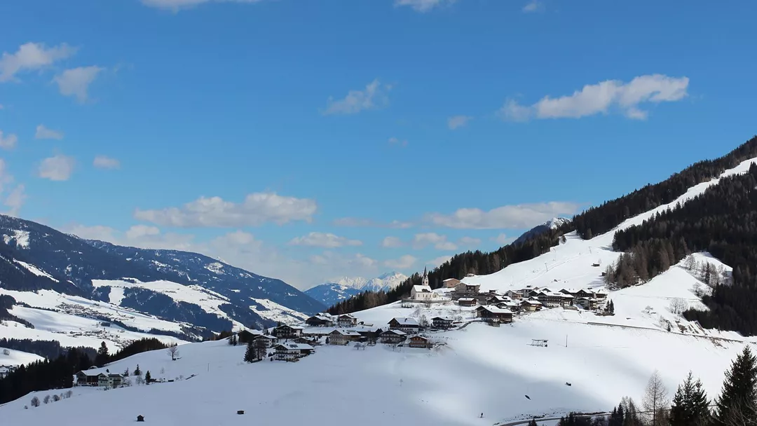Wikimedia Commons by Steinsplitter Bild - Wikimedia Commons by Steinsplitter